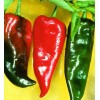 20 Semillas Chile Anaheim Pepper Importadas Organicas Nuevas