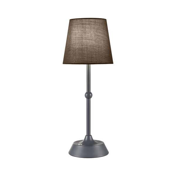 TIZURD Portable Dimmable Desk Lamp LED Cordless Grey Table Lamp