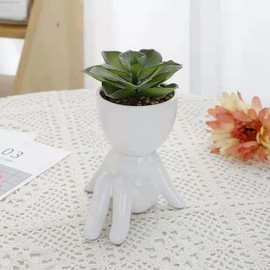 Scizorito Succulent Plant Potted, Modern Marble Style Ceramic Flowerpot, Creative Miniature Flowerpot, Used for Gift, Home Gardening and Desk Decoration