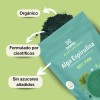Alga Espirulina Pura En Polvo 2kg Superfood Orgánica