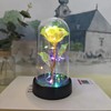 Eternal Rose Gift for Her – Acrylic Rose Display with
