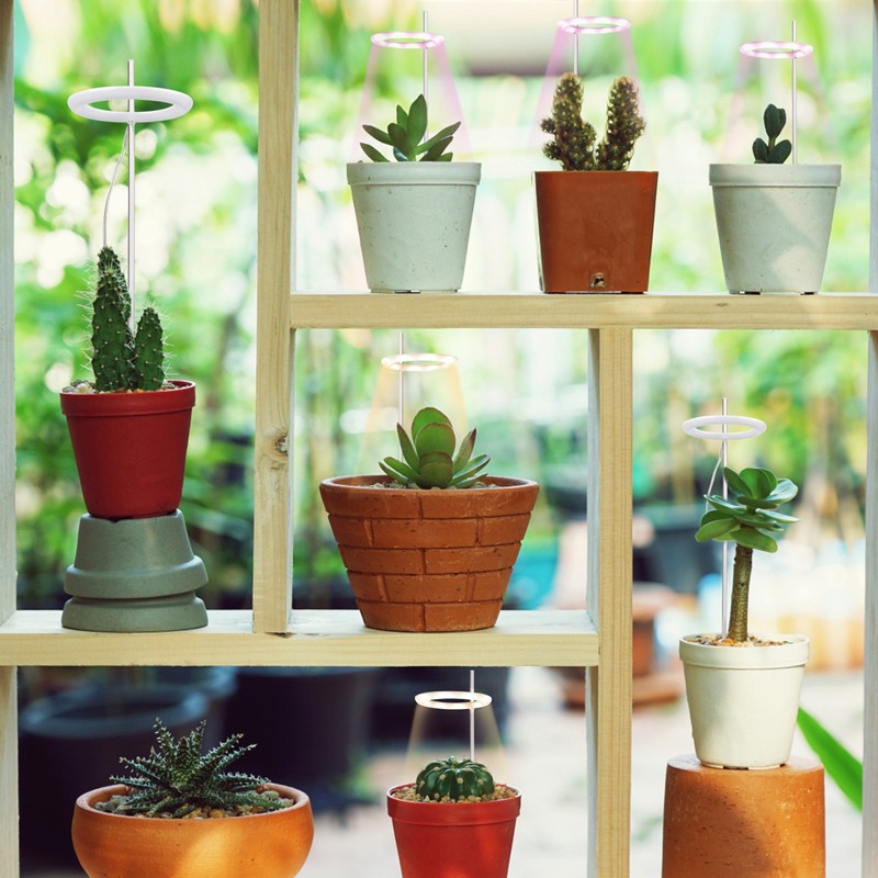 Plant Grow Light 3.3in Diameter 3 Heads Easy Operation Brightness