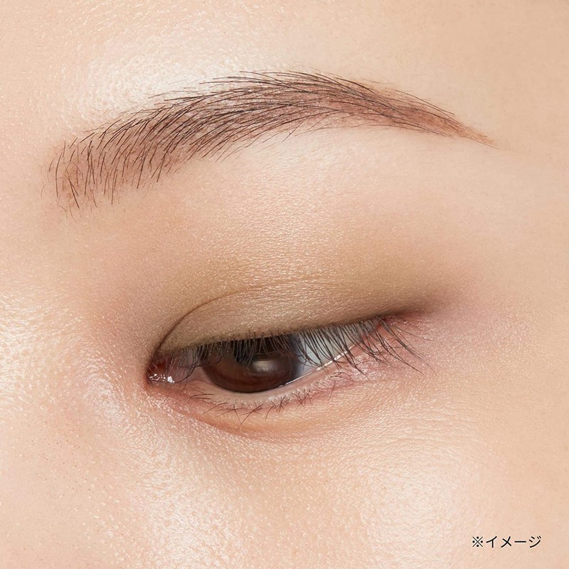 ettusais Eye Edition (Color Palette) 05 Olive Brown Eyeshadow, 0.1