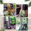 Stackable Mesh Moss Pole for Indoor Plants Monstera Climbing Plants