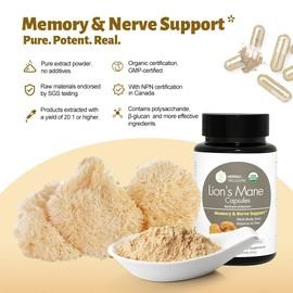 Herbal Treasure Lions Mane Supplement Capsules, Made with Organic Lions Mane Powder for Mental Clarity and Focus Supplements, 800mg Lions Mane Powder Organic Organic Mushroom Supplement 90 Caps