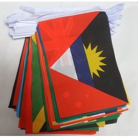 The Bunting Store Commonwealth Bunting 54 Nations Flags Multicolor 9"x6" Patriotic Event Banner