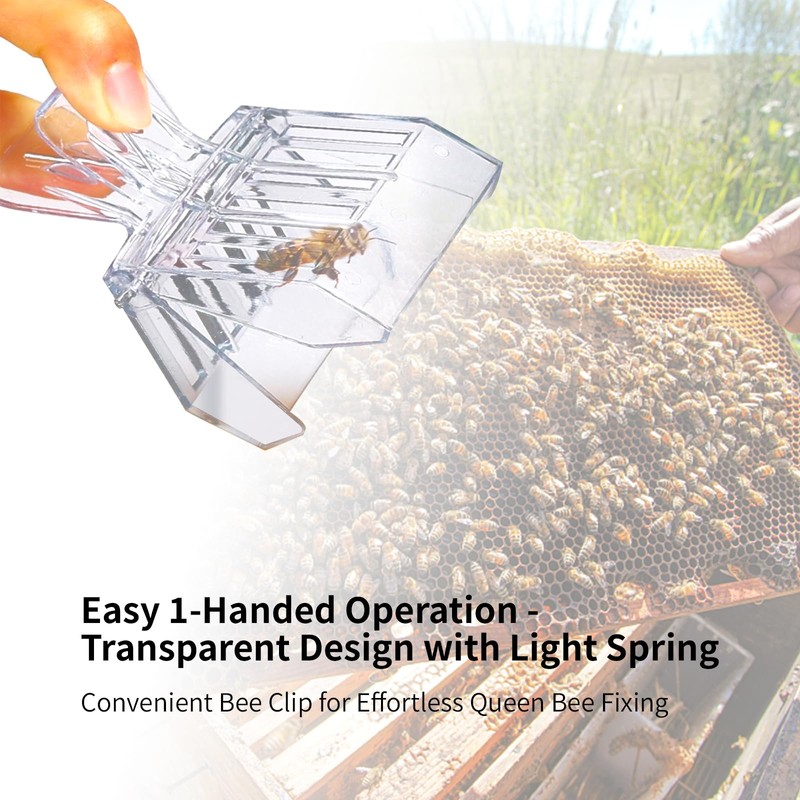 NIIIYTYB Bee Clip 2 Pcs Plastic Bee Queen Clips Transparent