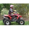HONDA 400EX ATV 1999 - 2014 OIL FILTER & O-RING