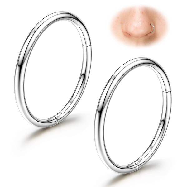 Diamday G23 Titanium Nose Rings Hoops 20G 18G 16G Seamless