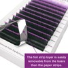 CoMango Purple Ombre Colored Lash Extension C Curl Easy Fan