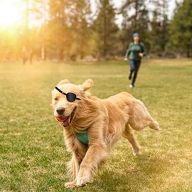 MANON ROSA Dog Eyepatch - Protective Cover for Small, Medium, Large Dogs and Cats With Canine Injuries After Surgery, Wounds, Missing Eye (Medium)