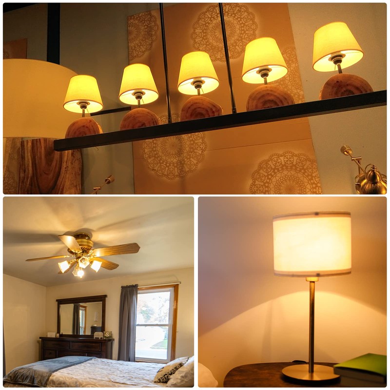 DiCUNO G9 LED Bulb, Ceramic Base Light Bulb 6W (60W