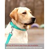 Reflective Dog Collar with Buckle Adjustable Safety Nylon Collars for