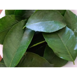 Unbranded 50 HOJAS DE NARANJA ORGANICAS FRESCAS-50 FRESH ORGANIC ORANGE LEAVES