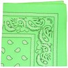 Paisley 100% Cotton Double Sided Bandana - 22 inches (Neon