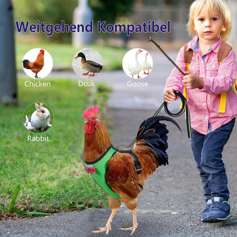 Yesito Chicken Harness Hen Size With6-foot Matching Belt - Adjustable,