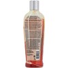 Pro Tan Hot Tottie Hot Action Dark Tanning Lotion -