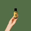 ACEITE ESENCIAL LITSEA CUBEBA 30 ML. GRADO TERAPEUTICO