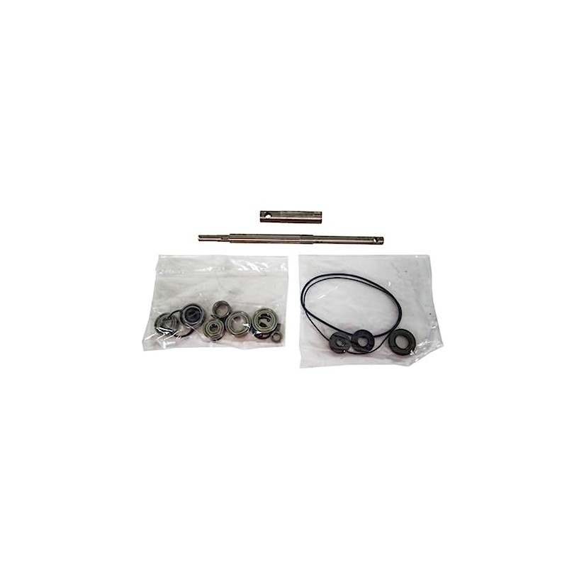 Gearbox Repair Kit, 3015377 (1 EA)