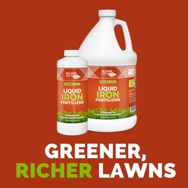 Bloom City's Organic Liquid Iron - Liquid Iron for Lawn - Chelated Iron for Plants, 1/2 Pint (8 oz)