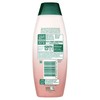 Palmolive Naturals Vibrant Colour Avocado Shampoo 350 ml