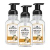 J.R. Watkins Foaming Hand Soap Pump with Dispenser, Moisturizing All
