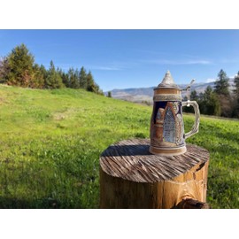 Essence of Europe Gifts 0.5 Liter | OktoberfestHaus Collectible Beer Steins German Town Scene Stein With Rothenburg Germany Engraved Tankard Beer Lovers Gift With Lid Jarras de Cerveza