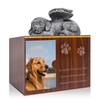 Cityjoy Dog Urn for Ashes - Large Wooden Texture Acrylic