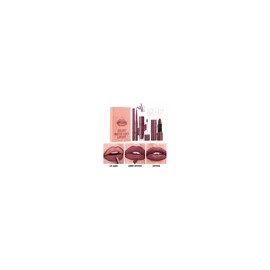 Set De Pintalabios 3 En 1 Con Brillo Labial E Impermeabiliza