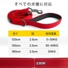 Fida Leash for Dogs, Long Lead, 2 Handles, Soft Pad,