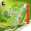 Shampoo Herbal De Bergamota 1.1l Del Indio Papago