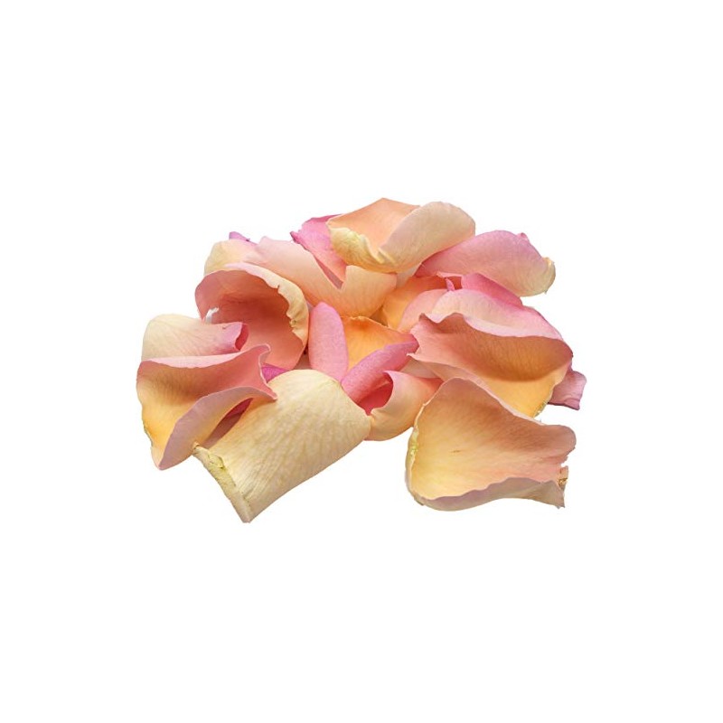 Uncle Roy's Soft Pink Rose Petals