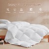 LeWinBedding Goose Feather Down Fiber Comforter King Size, All Season