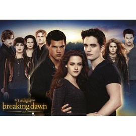 Ravensburger - 19070 - Twillight: the great Final - 1000 pc