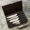Berghoff Antigua 5Pc Knives With Case German Steel Etched Blade