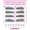 Cat Eye Lash Clusters Wispy D Curl Cluster Eyelash Extensions