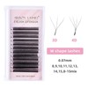3D/4D/5D Fans Eyelash Extensions Lashes C Curl 0.07mm,9mm Faux Mink