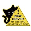3Pcs New Driver Car Magnet Sticker Set, Funny Cute Cat