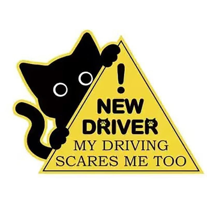 3Pcs New Driver Car Magnet Sticker Set, Funny Cute Cat