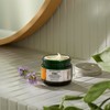 The Body Shop C Glow Intense Cream 1.7 fl oz