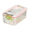 Pearl Metal Easy Clean HB-2625 Deep Airtight Storage Container, M,