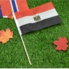 Ckexin 25Pack Small Egypt Flag Handheld Mini Egyptian Flags on