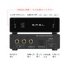 S.M.S.L D1 D/A Converter, High Resolution Compatible, ROHM High Performance