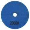 LGXEnzhuo 2000 Mesh Resin Polishing Pad 1 PC Diameter 3.9inch