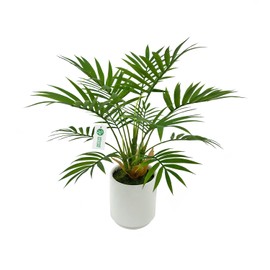 BESAMENATURE Artificial Palm Tree Plant, Potted Artificial Plant for Home Office Decoration, 12" Tall, Ships in White Ceramic Planter