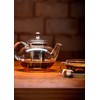 Trendglas Jena Miko Tea Pot Classic Design with Stainless Steel