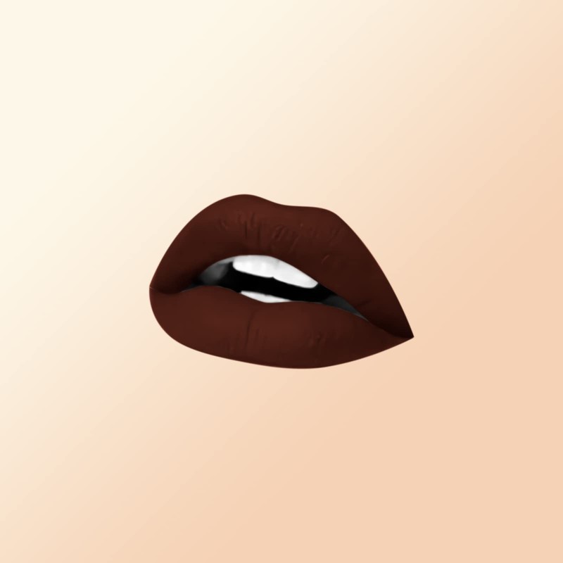 7V HOME BEAUTY Brown Matte Liquid Lipstick, Long Lasting High