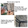 Camping Hammock - Double/Single Size Lightweight Nylon Hammock 660lbs Capacity