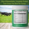 Grass Fed Beef Protein Powder - Lactose Free Great Tasting