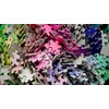 1000 Colors Jigsaw Puzzle CMYK Gradient Clemens Habicht